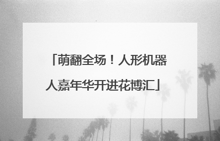 萌翻全场！人形机器人嘉年华开进花博汇